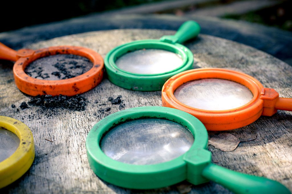 Wellbeing and Support